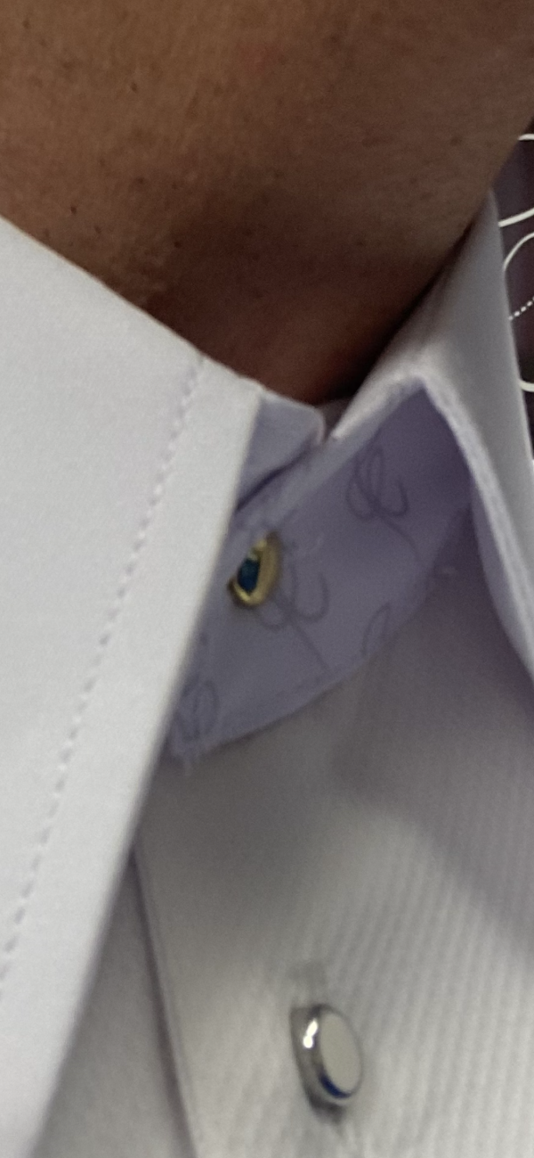 DETACHABLE SATIN COLLAR - Image 3