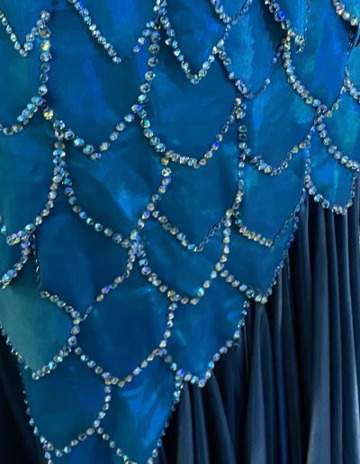 Close up of Blue Scaled Gown.