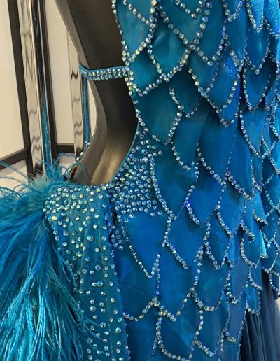 Profile shot of the blue scaled gown.