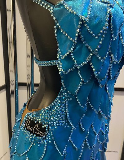 Close Up side profile of blue scaled gown.